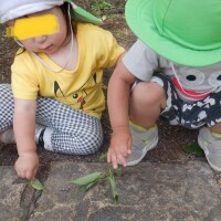 DSCF5942